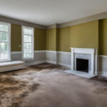 mold remediation